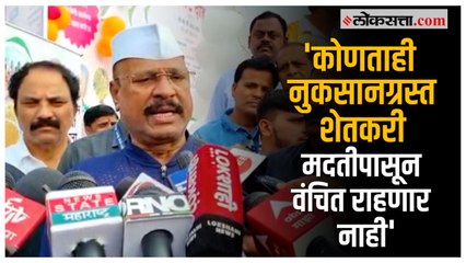 Abdul Sattar: 'पावसाने नुकसान झालेल्या पिकांचे पंचनामे केले जाणार'; कृषिमंत्री सत्तारांचे आश्वासन