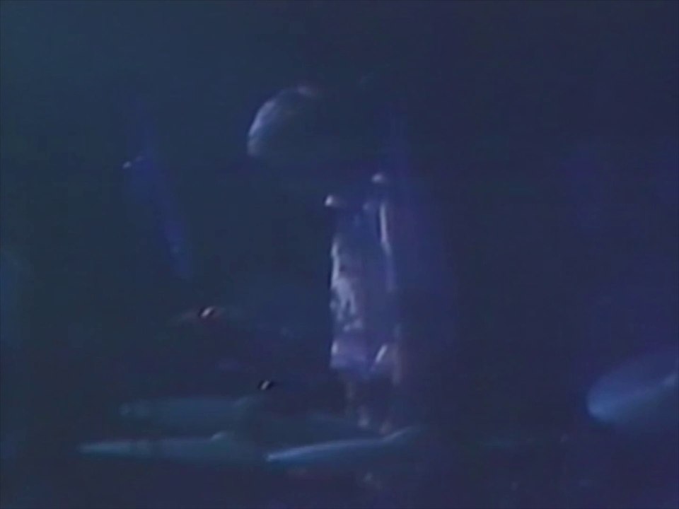 New Order : Elegia - live in Toronto 1985