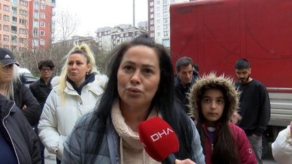 ESENYURT'TA YAVRU KEDİLERİN ÖLDÜRÜLDÜĞÜ İDDİASI