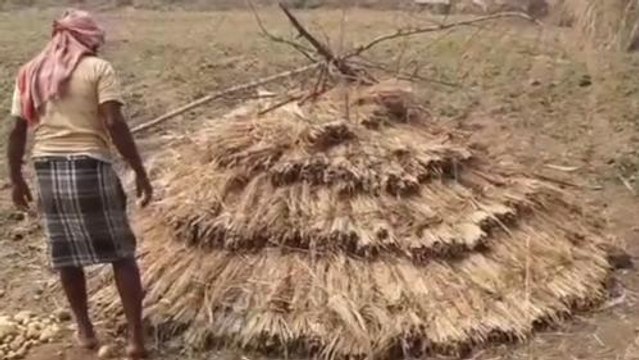 বাঁকুড়া: প্রাকৃতিক উপায়ে আলু রাখার হিমঘর! দেখলে চমকে যাবেন