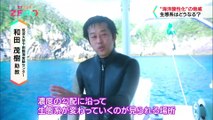 9分のみ「生き物のからだが溶ける！？“海洋酸性化”の脅威」サイエンスZERO