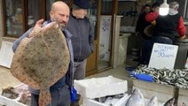 Karadeniz'de ağa takılan yaklaşık 9 kiloluk kalkan balığı, 5 bin liraya alıcı buldu