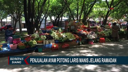 Penjualan Ayam Potong di Jeneponto Meningkat Drastis Jelang Ramadan!