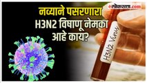 H3N2 Virus:देशात पसरणाऱ्या H3N2 विषाणूची लक्षणं काय? संसर्ग टाळण्यासाठी काय काळजी घ्यावी? जाणून घ्या