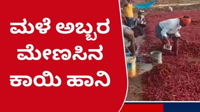 ಯಾದಗಿರಿ: ಸುರಿದ ಭಾರಿ ಮಳೆಗೆ ಬೆಳೆ ಹಾನಿ- ರೈತ ಕಂಗಾಲು