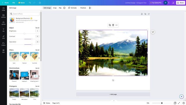Canva Course Section 9 Image Editing and Adjustment