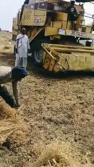 बूंदाबांदी से चिंतित हुए किसान, अधपकी फसल पर चलवा रहे हार्वेस्टर