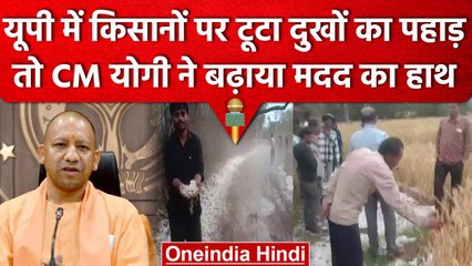 UP: CM Yogi ने Lalitpur में ओलावृष्टि से फसलों को हुए नुकसान पर दिए ये निर्देश| वनइंडिया हिंदी
