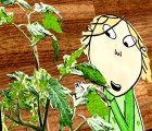 Charlie and Lola Charlie and Lola S02 E010 I Really Wonder What Plant I’m Growing