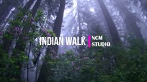 Indian Walk - Nico Staf- Romantic Music - Ambient Music