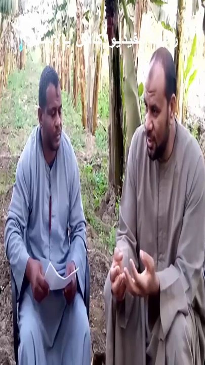 رسالة الى الاعبين فى النادى الاهلى من مشجع صعيدى عبر عن حال كل المشجعين حماده شحات