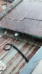 रहटगांव में बेमौसम बारिश,ओले गिरे,किसान चिंतित