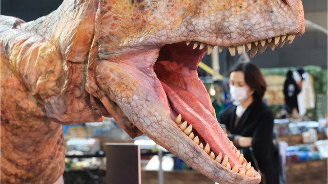 Des chercheurs font une découverte incroyable à propos de ce dinosaure