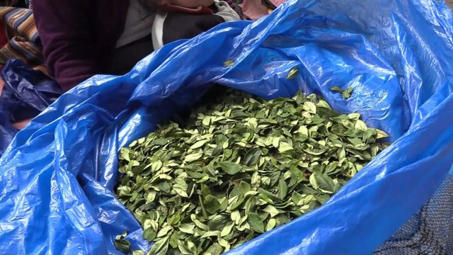 La hoja de coca en Bolivia, un símbolo cultural que busca su despenalización