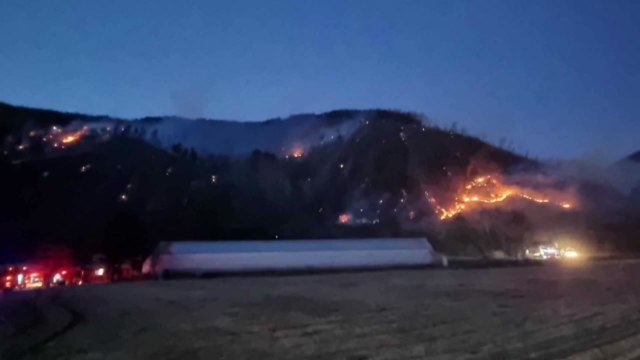 강원 평창에 '산불 1단계' 발령...강풍에 진화 어려움 / YTN