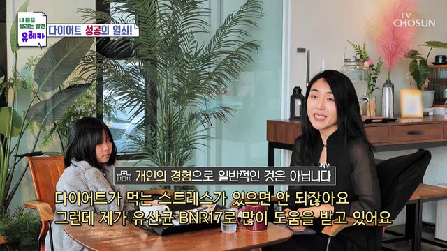 체지방 감소에 도움을 주는 유산균 BNR17 TV CHOSUN 230319 방송