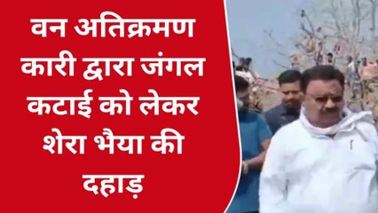 बुरहानपुर:जंगल में विधायक सुरेन्द्र सिंह शेरा की दहाड़,वनमंत्री पर दिया बड़ा बयान