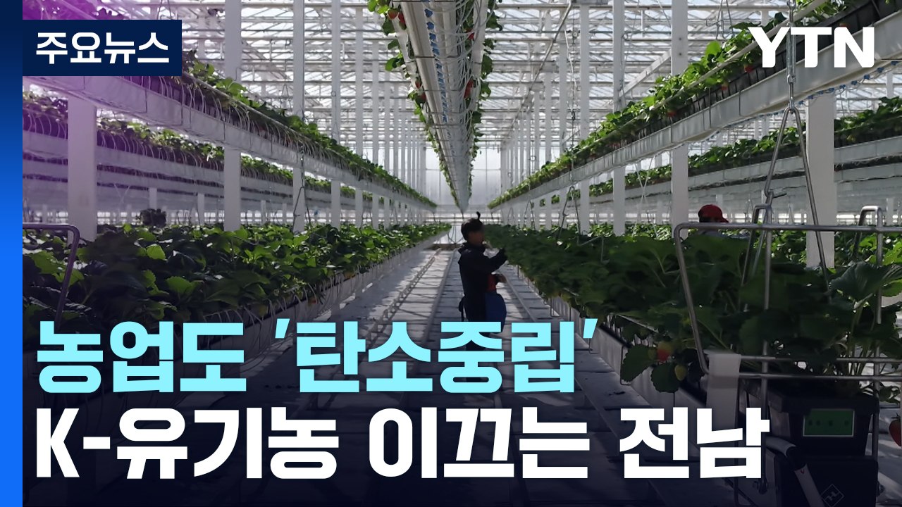 농업도 '탄소중립'...K-유기농 이끄는 친환경 전남 / YTN