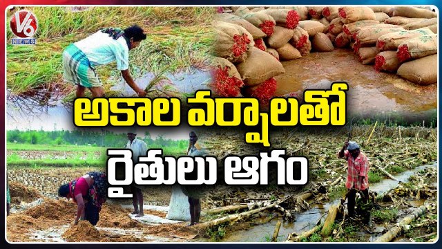 Farmers Huge Losses With Sudden Rains _ Sangareddy _ Telangana Rains | V6 News