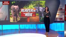 HATHI : जयपुर से 11 किलोमीटर दूर बसा हाथी का गांव