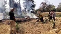 half acre crop burnt