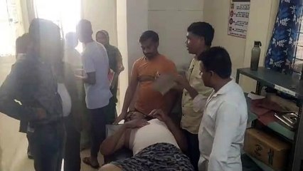 Two dozen injured due to bee attack