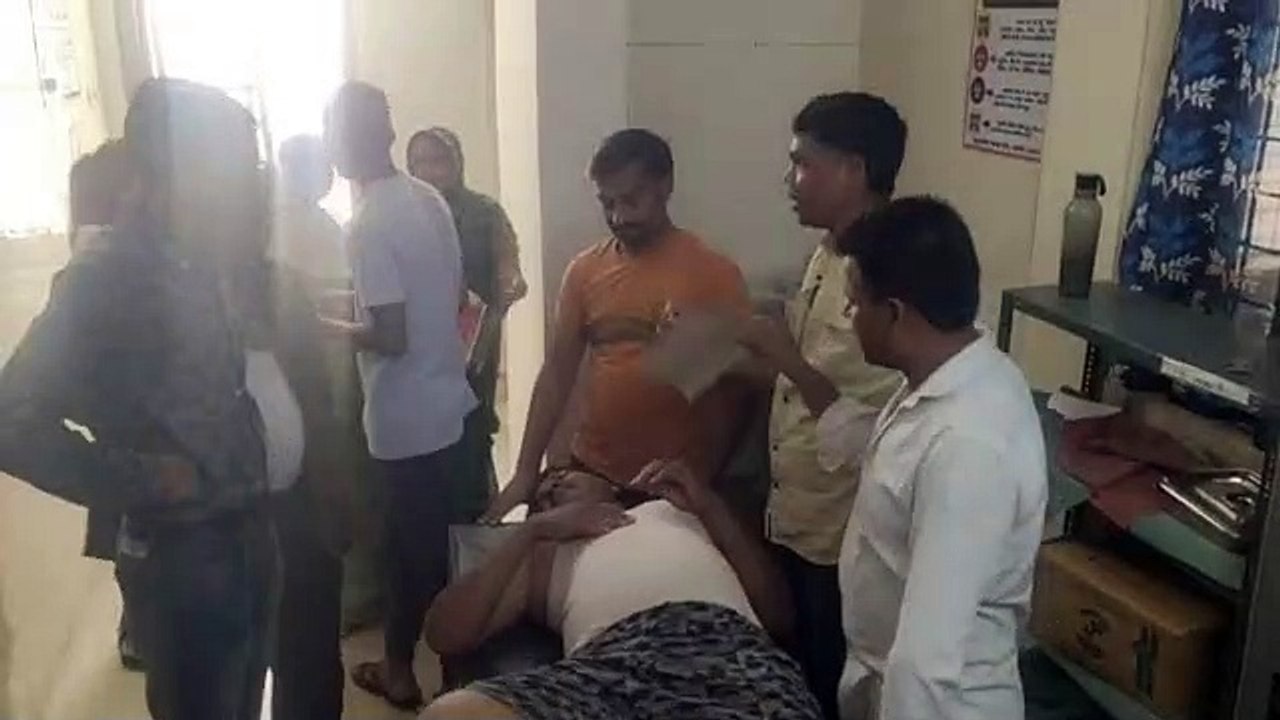 Two dozen injured due to bee attack