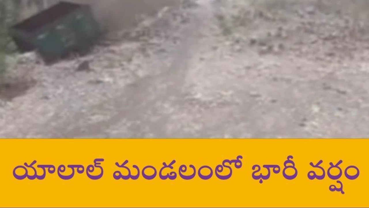 వికారాబాద్: భారీ వర్షాలు.. నీట మునిగిన పంట