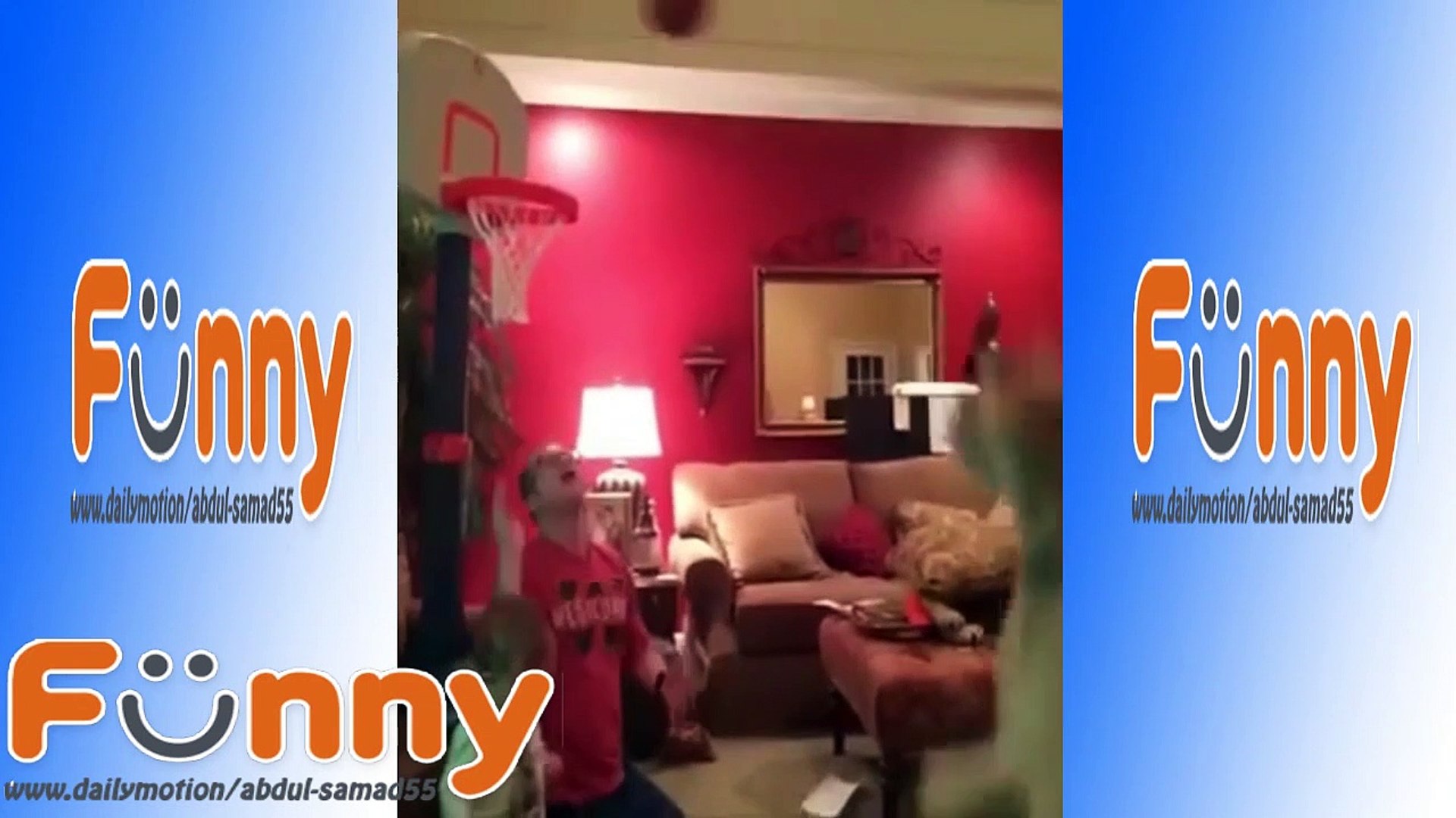 ⁣The crazy animals  Cute Pets __Vine