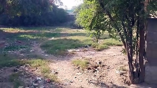 सवा चार साल बाद फिर याद आया मिनी सचिवालय