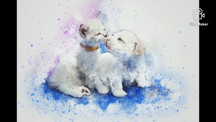 THE BEST 50 CUTE AND UNIQUE NAMES IDEAS FOR YOUR MALE CAT