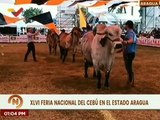 Aragua | XLVI Feria Nacional del Cebú fortalece motor productivo y económico del pais
