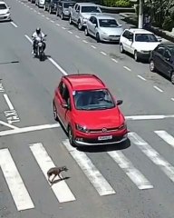 An accident never seen before