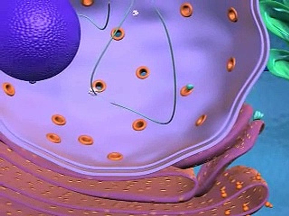 gene expression