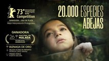 20.000 ESPECIES DE ABEJAS - Tráiler Español [HD] (2023)