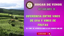 Diferencia entre vinos de uva y vinos de frutas