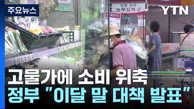 고물가에 소비 위축... 이번 달 말 내수 진작책 발표 / YTN