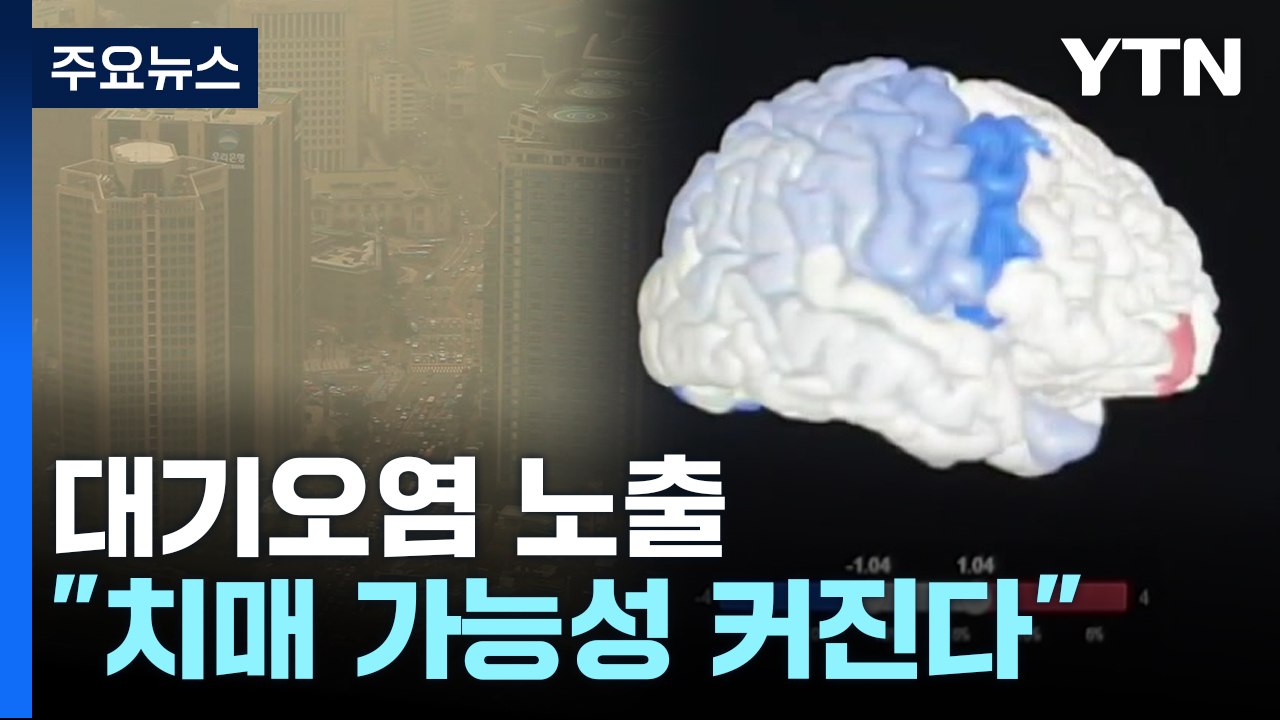 대기오염 심하면 마스크 필수..."치매 위험 높아진다" / YTN
