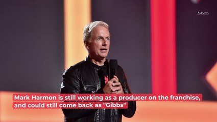 What Former 'NCIS' Stars Are Doing Now