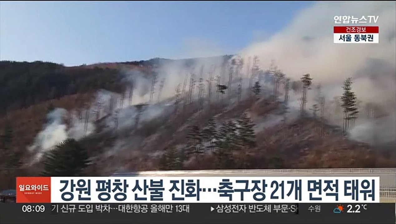 강원 평창 산불 진화…축구장 21개 면적 태워