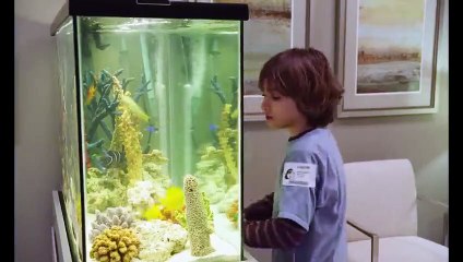 Marriage Story (2019) Full HD Streaming – Watch Part 1 Now 🎬