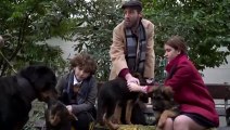 SHEPHERD- The Story of a Jewish Dog (2020) Watch HD