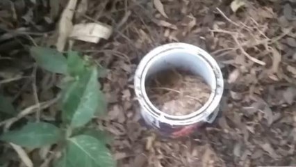 বীরভূমঃ বালতি ভর্তি বোমা উদ্ধার