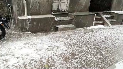 मंदसौर में ठंडी हवाएं तो सीतामऊ क्षेत्र में तेज बारिश के साथ हुई ओलावृष्टि