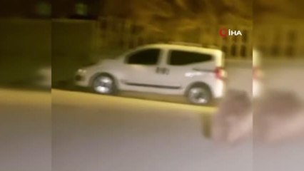 İlçe merkezine inen ayı böyle görüntülendi