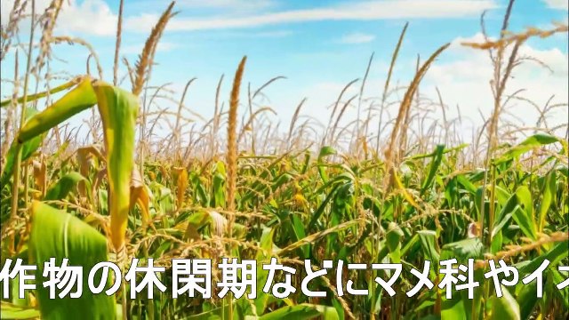 （たおやかインターネット放送)その日の出来事リジェネラティブ農業で未来を再生Regenerating the future with regenerative agriculture