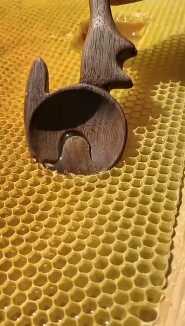 Satesfine video viral videos funny videos