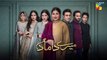 Mere Damad - Episode 48 [ Washma Fatima - Humayun Ashraf ] 18th March 2023 - HUM TV