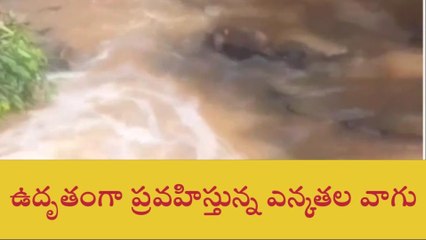 వికారాబాద్: అకాల వర్షాలతో భారీగా నష్టపోయిన రైతన్నలు
