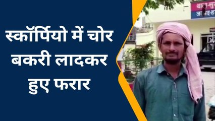 हमीरपुर: बकरी चोरों की दहशत से दहला इलाका, पशु बाड़े से स्कॉर्पियो में बकरियां लादकर हुए फुर्र